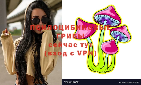 mix Новодвинск
