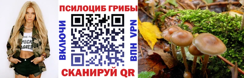 Псилоцибиновые грибы мухоморы  это какой сайт  Приволжск 