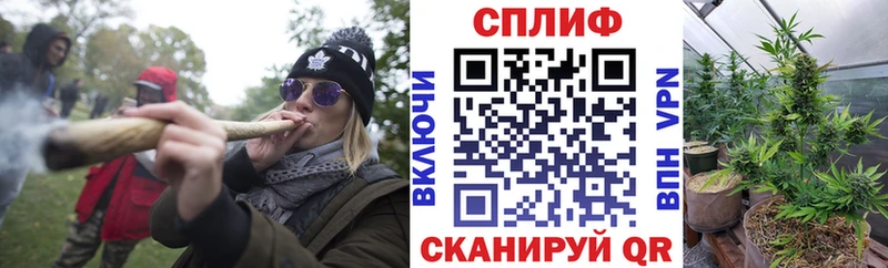 Шишки марихуана индика  наркошоп  Приволжск 